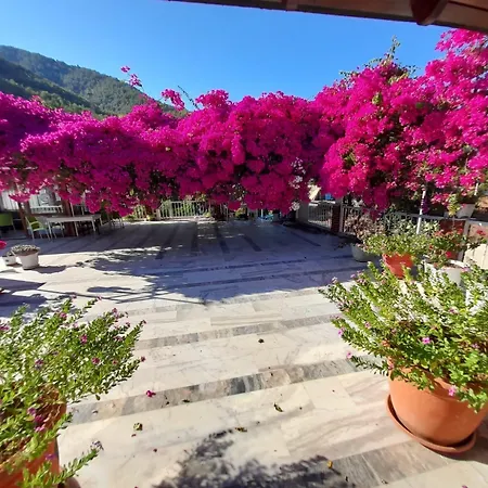 Akdeniz Экинджик