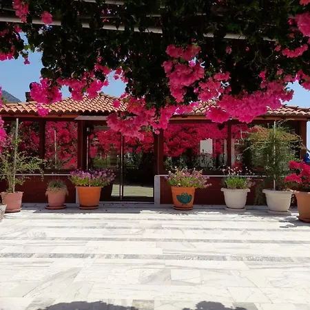 Hotel Akdeniz 3*