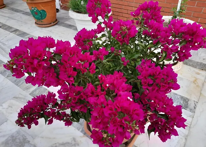 Otel Akdeniz Ekincik